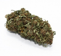 MariaLight Seedless High CBD Cannabis
