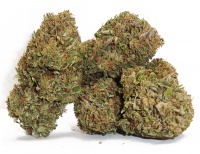 MariaLight Big Bud High CBD Cannabis