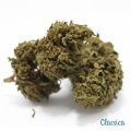 Cannabis Alto CBD MariaLight Classica