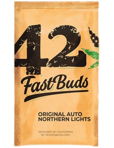 Original Auto Northern Lights Féminisée