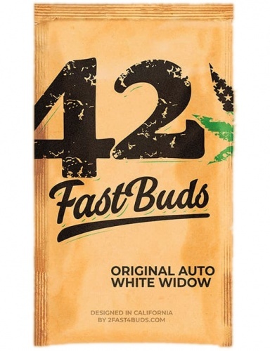 Original Auto White Widow Feminizada