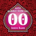 Auto Bubble Gum XXL Feminizada
