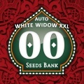 Auto White Widow XXL Féminisée (Auto White Widow)