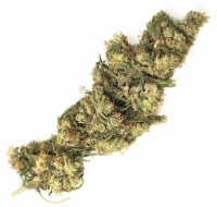 Cannabis High CBG Life - 2 Grams