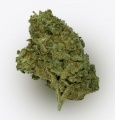 Cannabis Alto CBD Gorilla Grillz 3.5 gramos Indoor