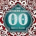 Northern Lights CBD Féminisée