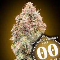 Do-Si-Dos Cookies Fast Feminized