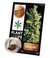 Plant of Life 3.8% CBD Hash (1 gram)