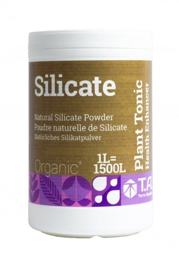 Silicate - 1 Lt