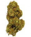 Cannabis Alto CBD Gorilla Grillz 5 gramos Outdoor