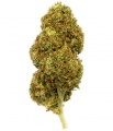 Cannabis Alto CBD Gorilla Grillz 5 gramos Outdoor