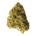 Cannabis Alto CBD Gorilla Grillz 25 gramos