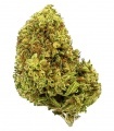 Blackfriday: Cannabis Alto CBD Gorilla Grillz 5 gramos