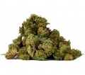 Cannabis Alto CBD Small Buds