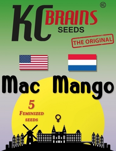 MAC Mango Feminized