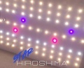 LED Star Hiroshima 150W