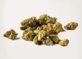 Cannabis Alto CBD Pop Corn (10 gramos)