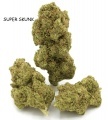 Cannabis High CBD Premium