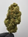 Cannabis High CBD Premium
