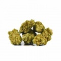 Cannabis Alto CBD CHERRY BOMB CALI