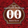 Auto Chocolate Skunk XXL Feminizada