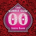 Bubble Gum CBD Féminisée