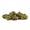Cannabis alto CBD Mini Buds