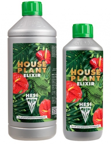 Houseplant Elixir