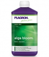 Alga Bloom RENOVACION