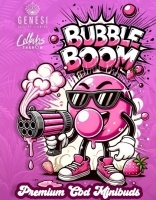 Bubble Boom 3 Gramos Premium CBD MiniBuds Genesi