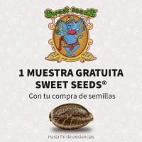 2 Graines Promotion Sweet Seeds