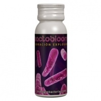 1 BactoBloom (Floraison)