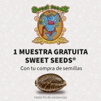 Promo Especial Sweet Seeds