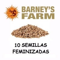 10 Semillas feminizadas Barney´s Farm