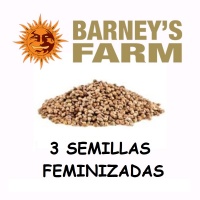 3 Semillas feminizadas Barney´s Farm