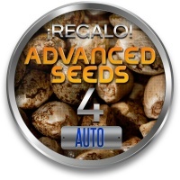 ADVANCED SEEDS: 4 Auto Seeds