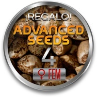 ADVANCED SEEDS: 4 Graines Feminisées