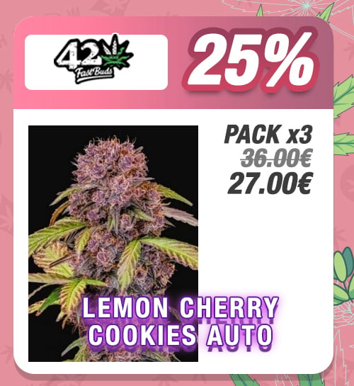 Promoción Lemon Cherry Cookies Auto Feminizada