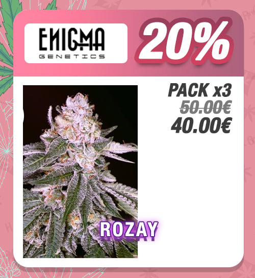 Promoción Rozay Feminizada