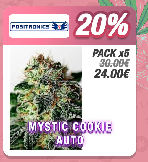 Promoción Mystic Cookie Auto Feminizada