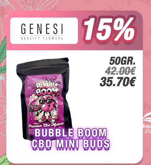 Promoción Cannabis Alto CBD Mini Buds Bubble Boom