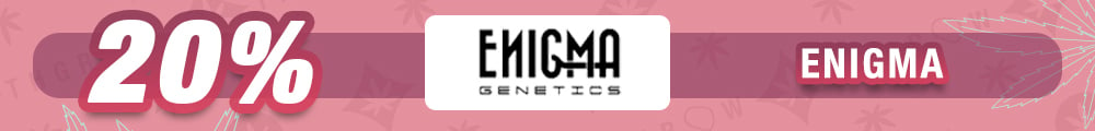 Promoción Enigma Genetics